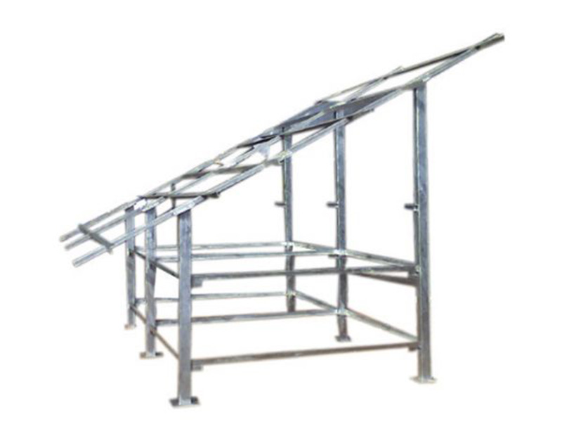 SP-03.jpg